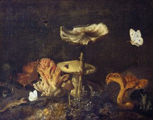Naturaleza muerta con hongos y mariposas